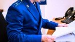 Жительница Мошенского района осуждена  за уклонение от уплаты алиментов